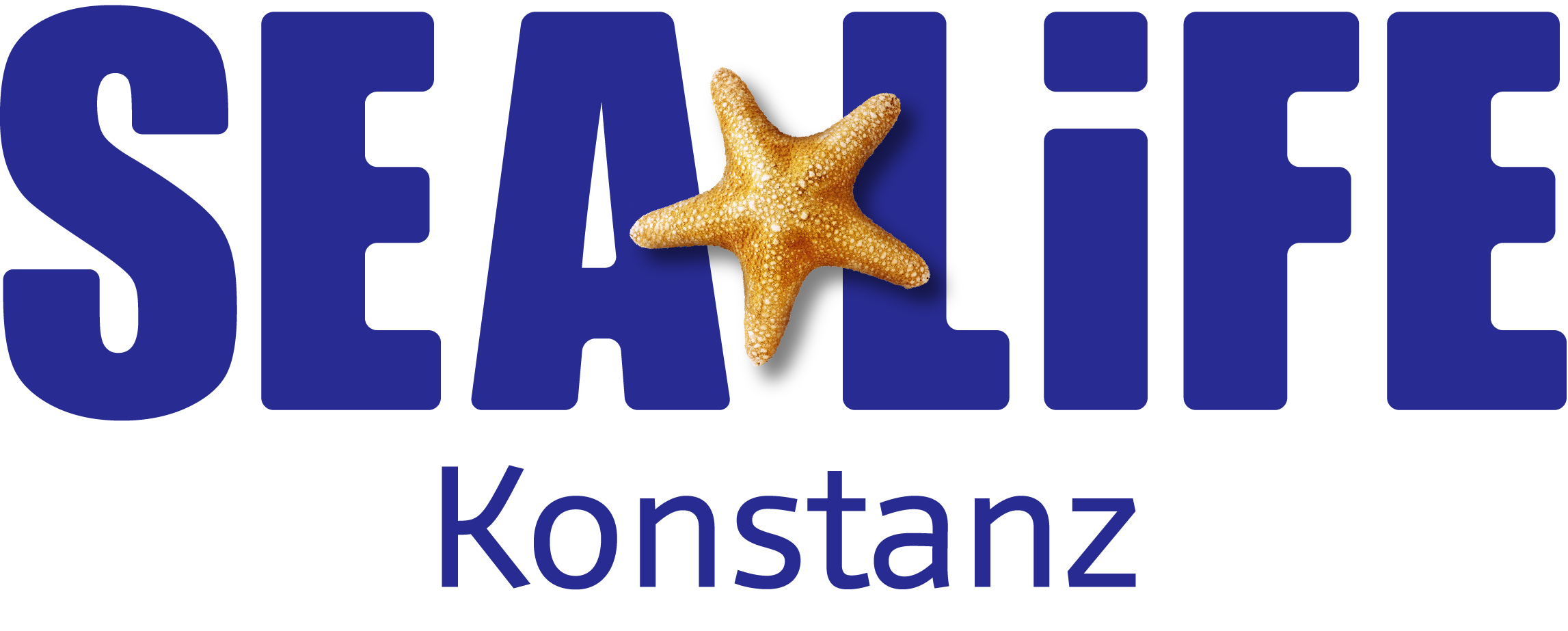 Merchant Logo