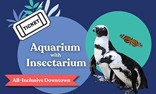 Combo: Aquarium + Insectarium